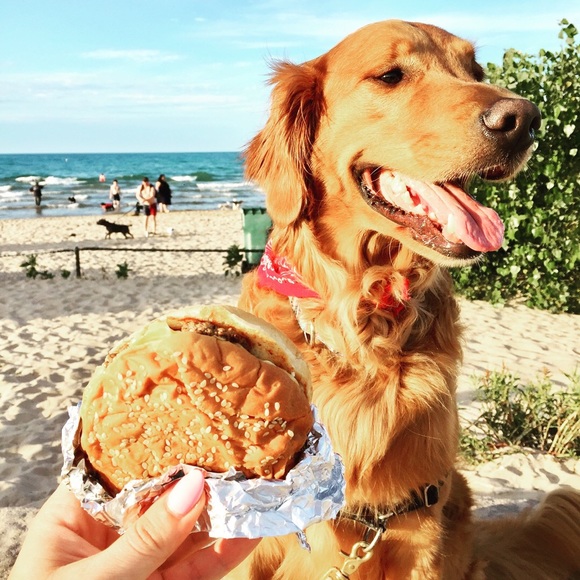 @articlebylo - Picture 3 of 3